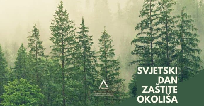 Danas-je-Svjetski-dan-zastite-okolisa-Nasa-zemlja-nasa-buducnost