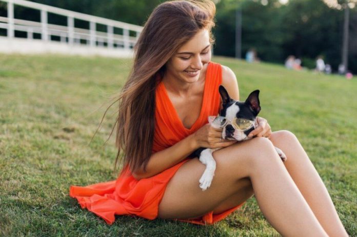 Koji pas je najkompatibilniji sa vašim horoskopskim znakom: Bik se