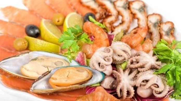 Porast bakterije Vibrio spp. u morskim plodovima primijećen od strane