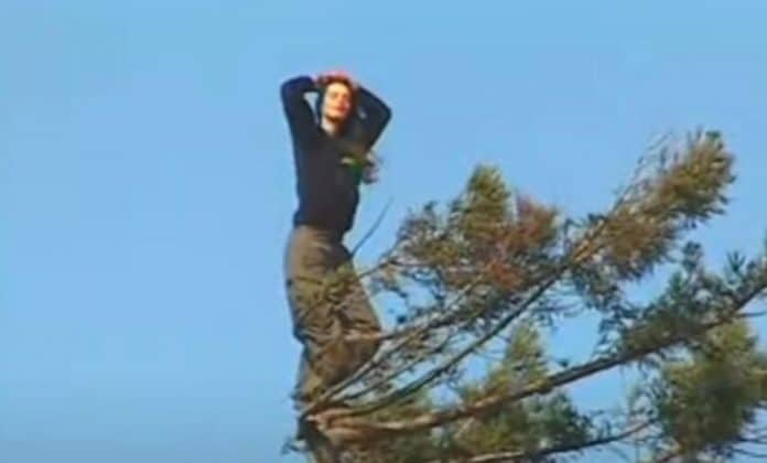 Popela se na drvo 1998. i skoro dvije godine nije