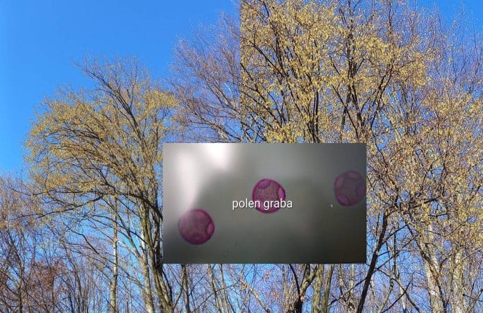 Visoko: Izvještaj o ispitivanju alergenog polena u zraku od 24.03.