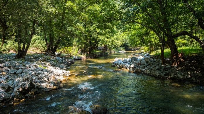 Ljetni hit: Najčišća rijeka u Srbiji, skok iz