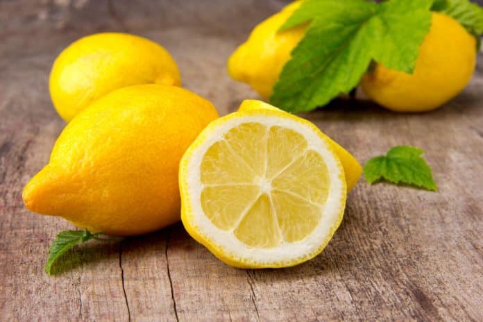 Na jednostavan način pripreme sladoleda od limuna: omiljeni desert u