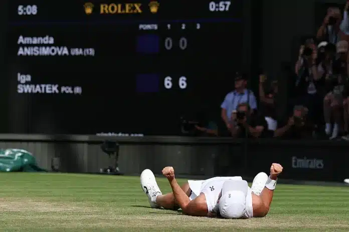 Publika na Wimbledonu se osjeća prevarenom, za finale su platili