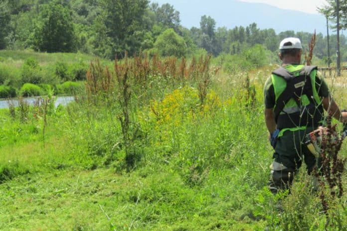 Tešanj: Izvještaj o ispitivanju alergenog polena u zraku od 18.06.