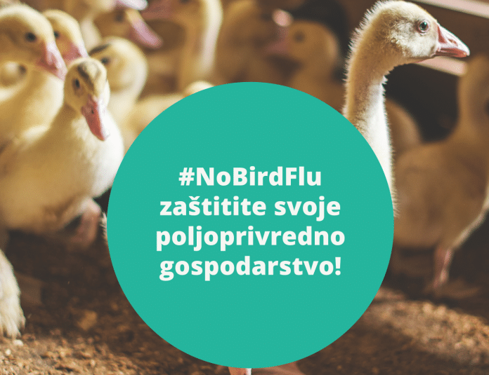 #NoBirdFlu: Spriječite širenje influence ptica