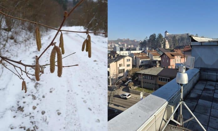 Tešanj: Izvještaj o ispitivanju alergenog polena u zraku od 20.01.