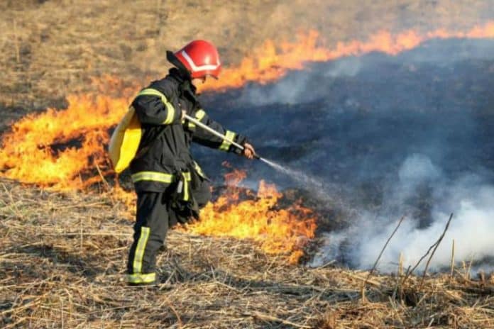 Požari harali ŽZH: Deseci intervencija u Posušju, Grudama i Ljubuškom