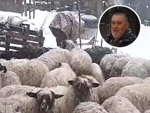 Preko noći ostao bez svega: Stočaru iz BiH snijeg ubio