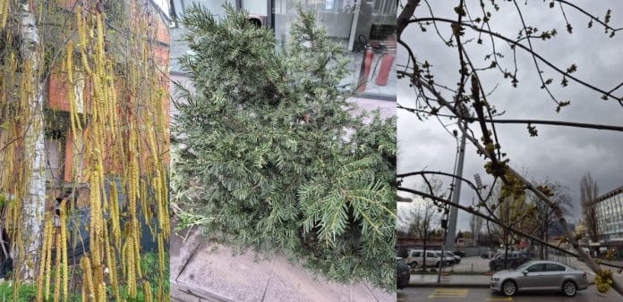 Sedmični izvještaj polena za područje Zeničko-dobojskog kantona od 23. do
