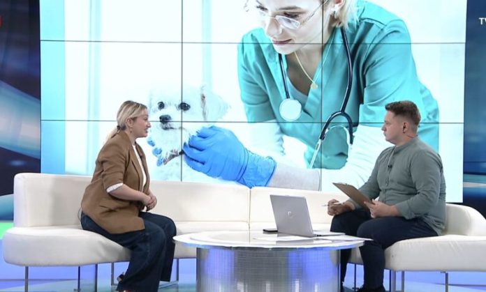 Urgentni centar za male životinje u Sarajevu bilježi rast od