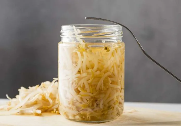 Rasol kao prirodni lijek: Eliksir za organizam i zdrava nutritivna